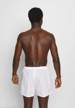 Pier One 5 Pack - Boxershort - Light Blue/White -Stijlvolle Herenkleding Winkel 687ef1808b144438a634b5f088762ab1